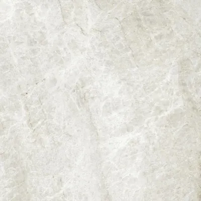 Indoor floor coverings - Taj Mahal Marble Effect Porcelain Stoneware, Matte White, RT 60x60 - ETMS1561 (Ceramishop.fr) - CERAMISHOP