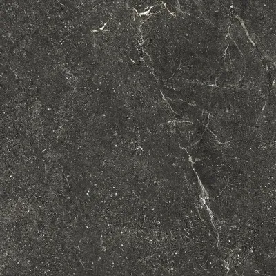 Outdoor floor coverings - Black Veined Stone Effect Porcelain Stoneware, Non-Slip, 60x120 - EWBE1324 (Ceramishop.fr) - CERAMISHOP