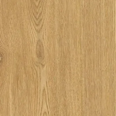 Revêtements sols intérieurs - Grès Cérame Effet Bois Moderne Élégant Caramel Mat Rt 30X120 - EWCL1677 (Ceramishop.fr) - CERAMISHOP