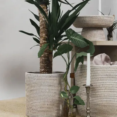Organizer - Medium Rattan Planter - KING ZOO