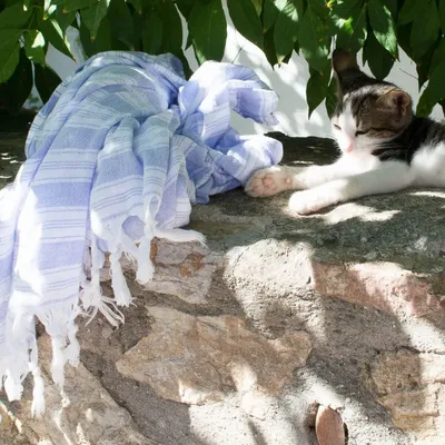 Pools - hammam towel - pareo lavender blue - OTTOMANIA