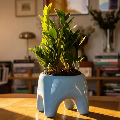 Pots de fleurs - Cache-pot BUDDY – Bleu Ciel - BIBAH