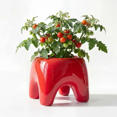 Flower pots - BUDDY Planter – Poppy Red - BIBAH