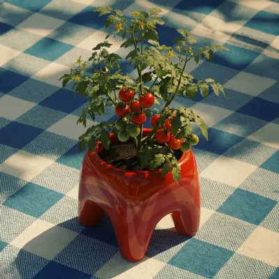 Pots de fleurs - Cache-pot BUDDY – Rouge Poppy - BIBAH