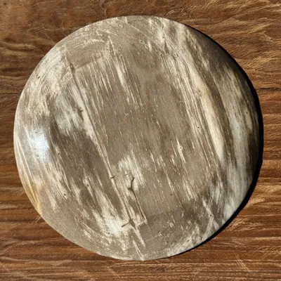 Pièces uniques - Vide poche, plat ou assiette circulaire en bois pétrifié beige clair - OFFICE OBJETS