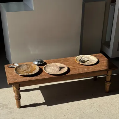 Unique pieces - Empty pocket, dish or circular plate in orange-gray petrified wood - OFFICE OBJETS