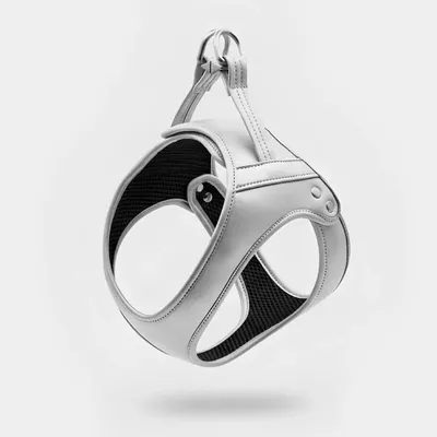 Cadeaux - Harnais Churchill. - harnais pour chien - argenté - BY CHURCHILL.®