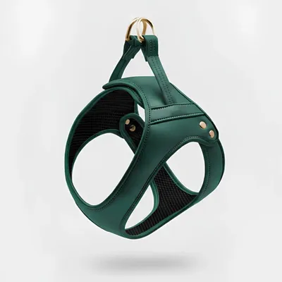 Cadeaux - Harnais Churchill. - harnais pour chien - vert - BY CHURCHILL.®