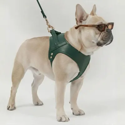 Cadeaux - Harnais Churchill. - harnais pour chien - vert - BY CHURCHILL.®