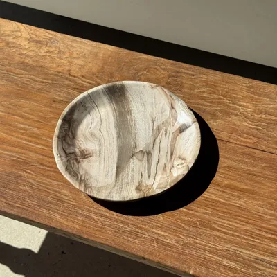 Unique pieces - Empty pocket, dish or circular plate in striped gray petrified wood - OFFICE OBJETS