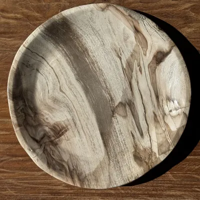 Unique pieces - Empty pocket, dish or circular plate in striped gray petrified wood - OFFICE OBJETS