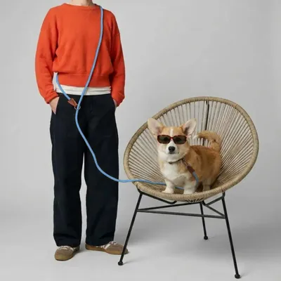 Cadeaux - Laisse ROSA. - Laisse pour chien - bleu - 175 cm - BY CHURCHILL.®