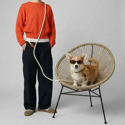 Cadeaux - Laisse ROSA. - Laisse pour chien - blanc crème - 175 cm - BY CHURCHILL.®