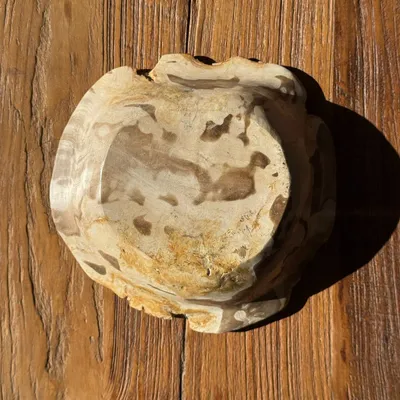 Unique pieces - Beige round petrified wood cup D21- 3780 - OFFICE OBJETS