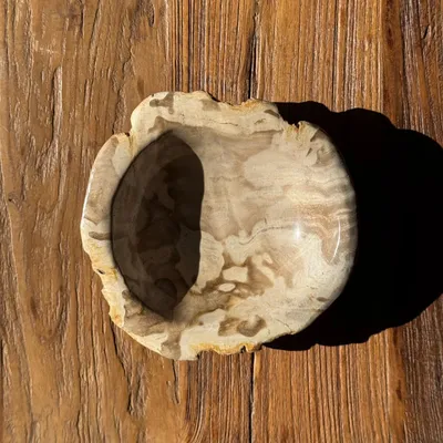 Unique pieces - Beige round petrified wood cup D21- 3780 - OFFICE OBJETS