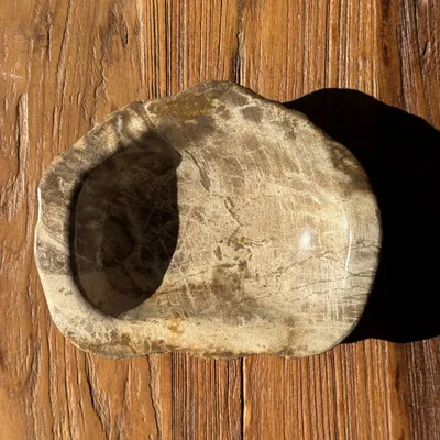 Unique pieces - Beige oval petrified wood bowl 24x19 - 3781 - OFFICE OBJETS