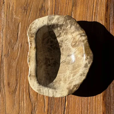 Unique pieces - Beige oval petrified wood bowl 24x19 - 3781 - OFFICE OBJETS