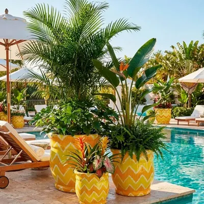 Accessoires de déco extérieure - Pot - Design Zigzag - GUADARTE