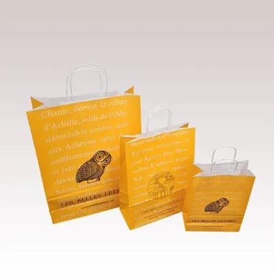 Objets personnalisables - Sac Papier à Poignées Torsadées kraft blanc - LE SAC PUB SUR MESURE BY AIRIPLAST