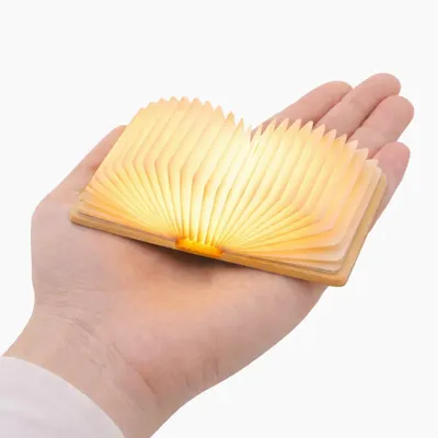 Lampes de table - Lampe à livres intelligente Super Mini, édition Palm, finition érable - GINGKO DESIGN