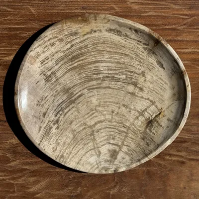 Unique pieces - Empty pouch or dish in light gray petrified wood with rings D27x25 -33 - OFFICE OBJETS