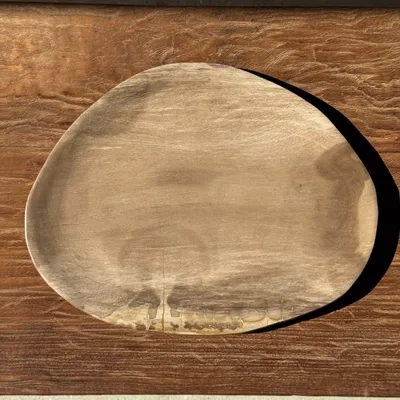Unique pieces - Large empty pouch or dish in beige oval petrified wood D36x28 -3783 - OFFICE OBJETS