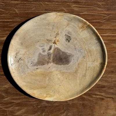 Unique pieces - Empty pouch or dish in beige petrified wood with brown stain in the ce - OFFICE OBJETS