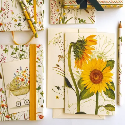 Card shop - Tassotti greeting cards - TASSOTTI - ITALY