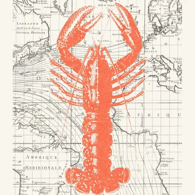 Poster - Atlantic lobster - SALAM ÉDITIONS