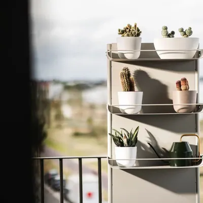 Murs végétaux - Urbn Botanical - Silk Grey - Vertical Garden - URBN GARDN