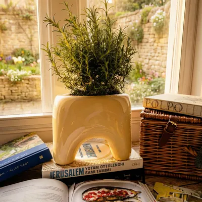 Flower pots - BUDDY Planter – Butter - BIBAH