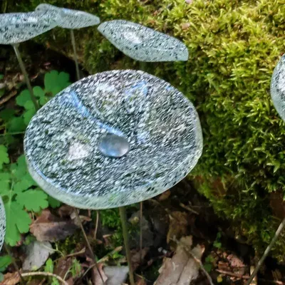 Décorations florales - Petite fleur ronde de couleur transparente, blanche et noire - CARNEOL GLASS