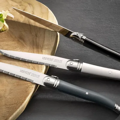 Knives - SET OF 6 LAGUIOLE ACCESS KNIVES MADE IN FRANCE ABS HANDLE - TARRERIAS - BONJEAN