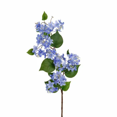 Décorations florales - LILAC FLOWER STEM BLU/GRN 85CM - GOODWILL M&G