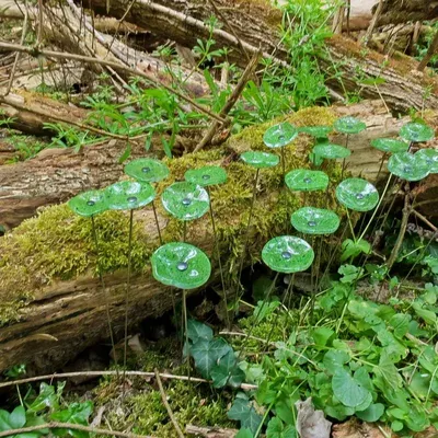 Décorations florales - Petite fleur pour usage extérieur en transparent, vert, bleu foncé - CARNEOL GLASS