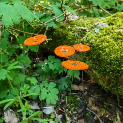 Décorations florales - Petite fleur ronde en verre pour l'extérieur de couleur orange, noire avec tige en acier inoxydable de 43 cm - CARNEOL GLASS