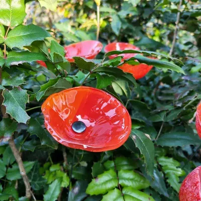 Accessoires de jardinage - Fleur de cala rouge de taille moyenne - CARNEOL GLASS