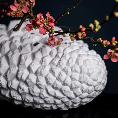Vases - Metamorphose Testudinaria, vase, bone china, white - KLATT OBJECTS