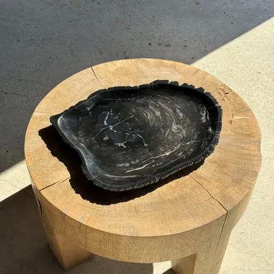 Platter and bowls - Very large empty pouch or dish in black petrified wood D35 - OFFICE OBJETS