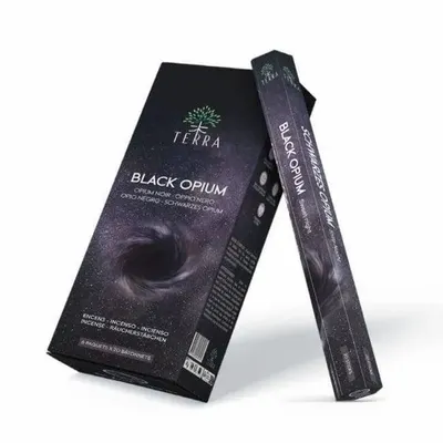 Home fragrances - Terra Charcoal Free Incense Hexa - Black Opium30g - ARABESK