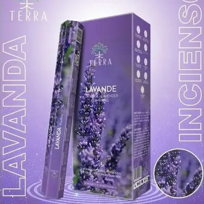 Home fragrances - Terra Charcoal Free Incense Hexa - Lavender 30g - ARABESK