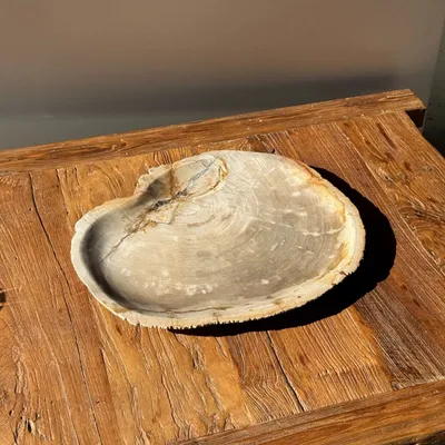 Platter and bowls - Very large empty pouch or dish in beige petrified wood D35 - OFFICE OBJETS