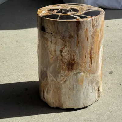Stools - Multicolor petrified wood side table H45 D24 - 3328 - OFFICE OBJETS