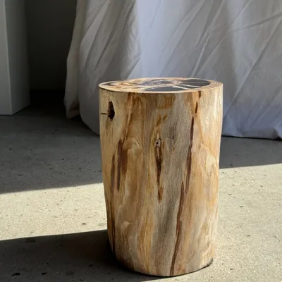 Coffee tables - Multicolor petrified wood side table H45 D24 - 3329 - OFFICE OBJETS