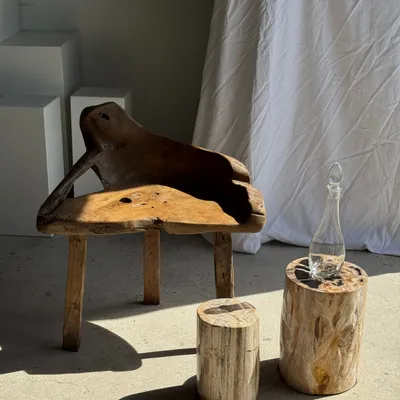 Coffee tables - Multicolor petrified wood side table H45 D24 - 3329 - OFFICE OBJETS