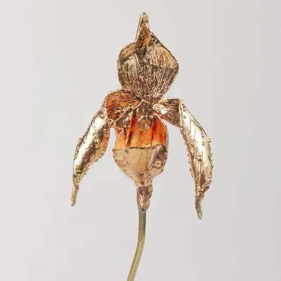 Décorations florales - Sculpture d'orchidée de Huánuco avec socle noir - CÂPÂ JEWELRY