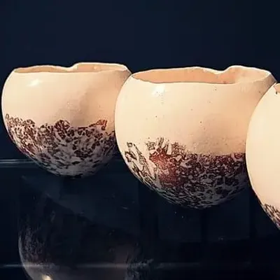 Objets de décoration - Coquille - PONPON CURIOSITAS