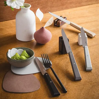 Couteaux - Couteaux de table - Bon Appétit bois - OPINEL