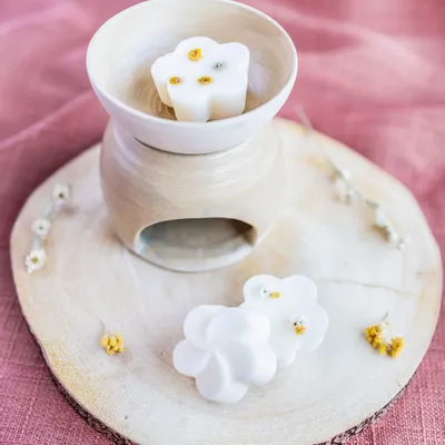 Home fragrances - Spa feeling Scented Wax Melts - ATELIER DALONG