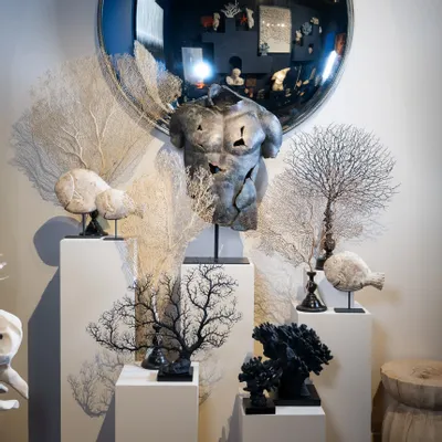 Objets de décoration - Coraux - ATELIERS DAVOY